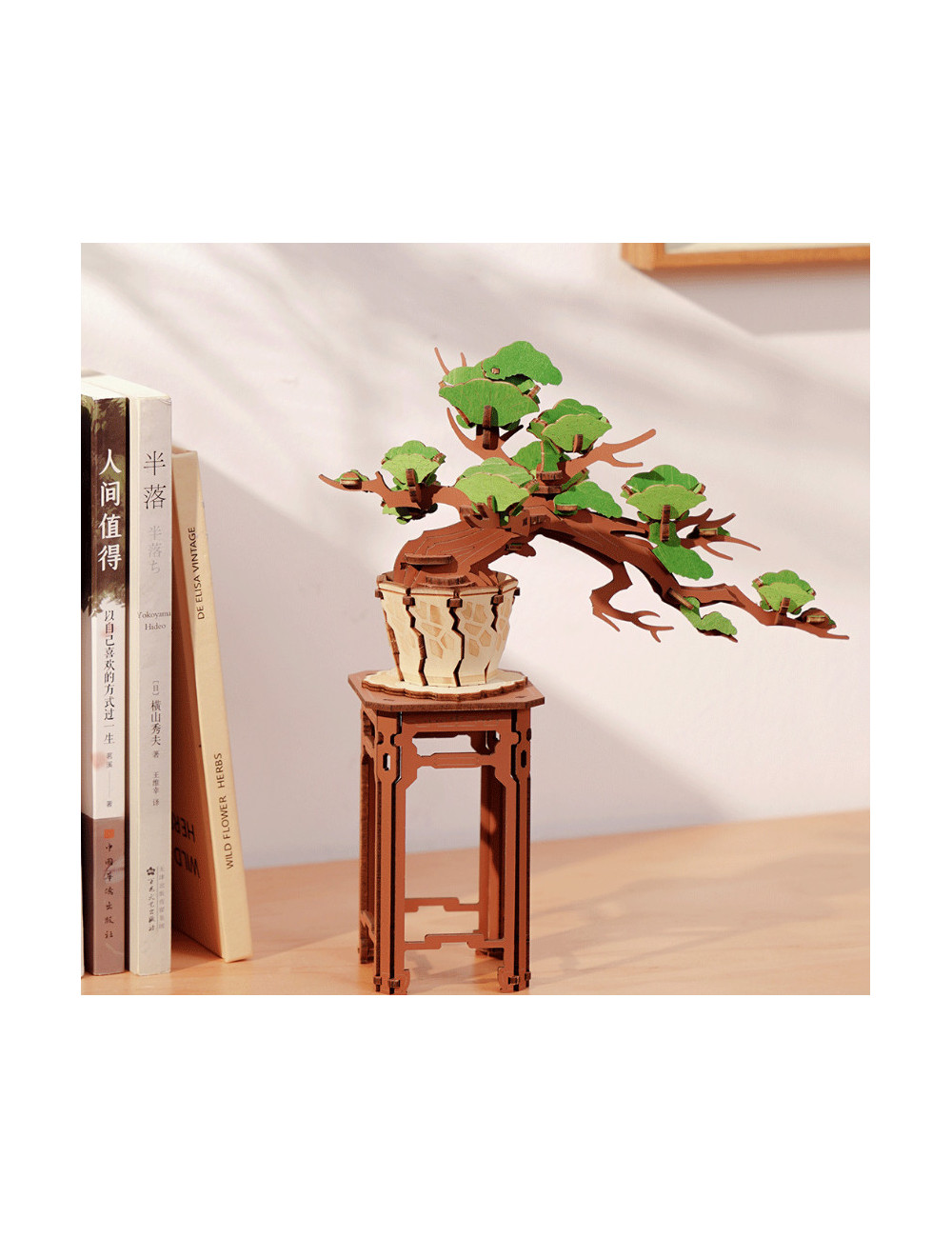 Maqueta DIY BONSAI