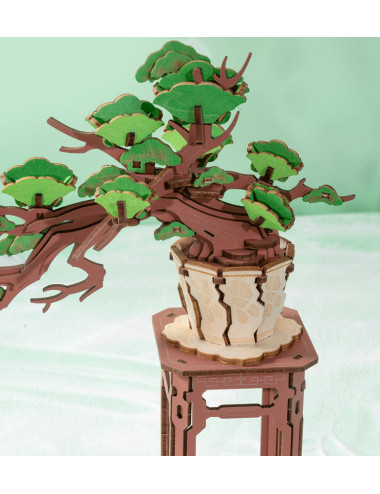 Maqueta DIY BONSAI