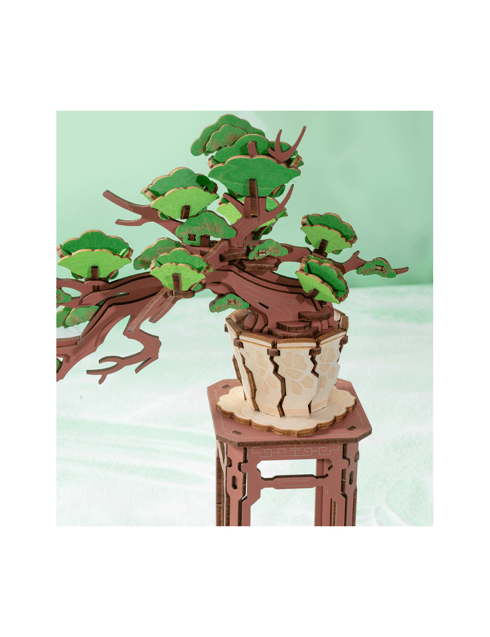 Maqueta DIY BONSAI