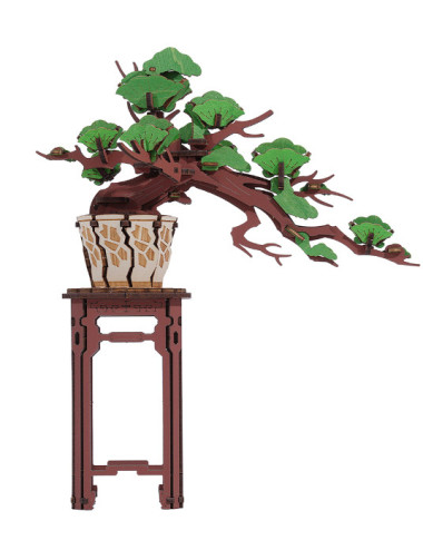 Maqueta DIY BONSAI